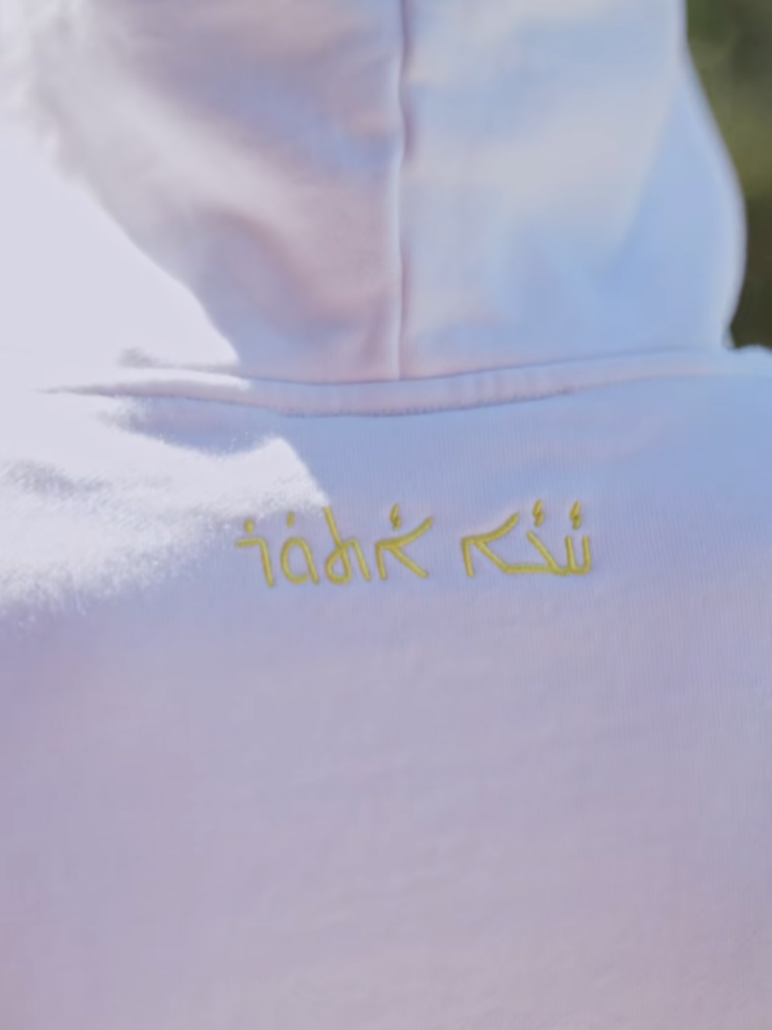 ASSYRIAN RELIC HOODIE