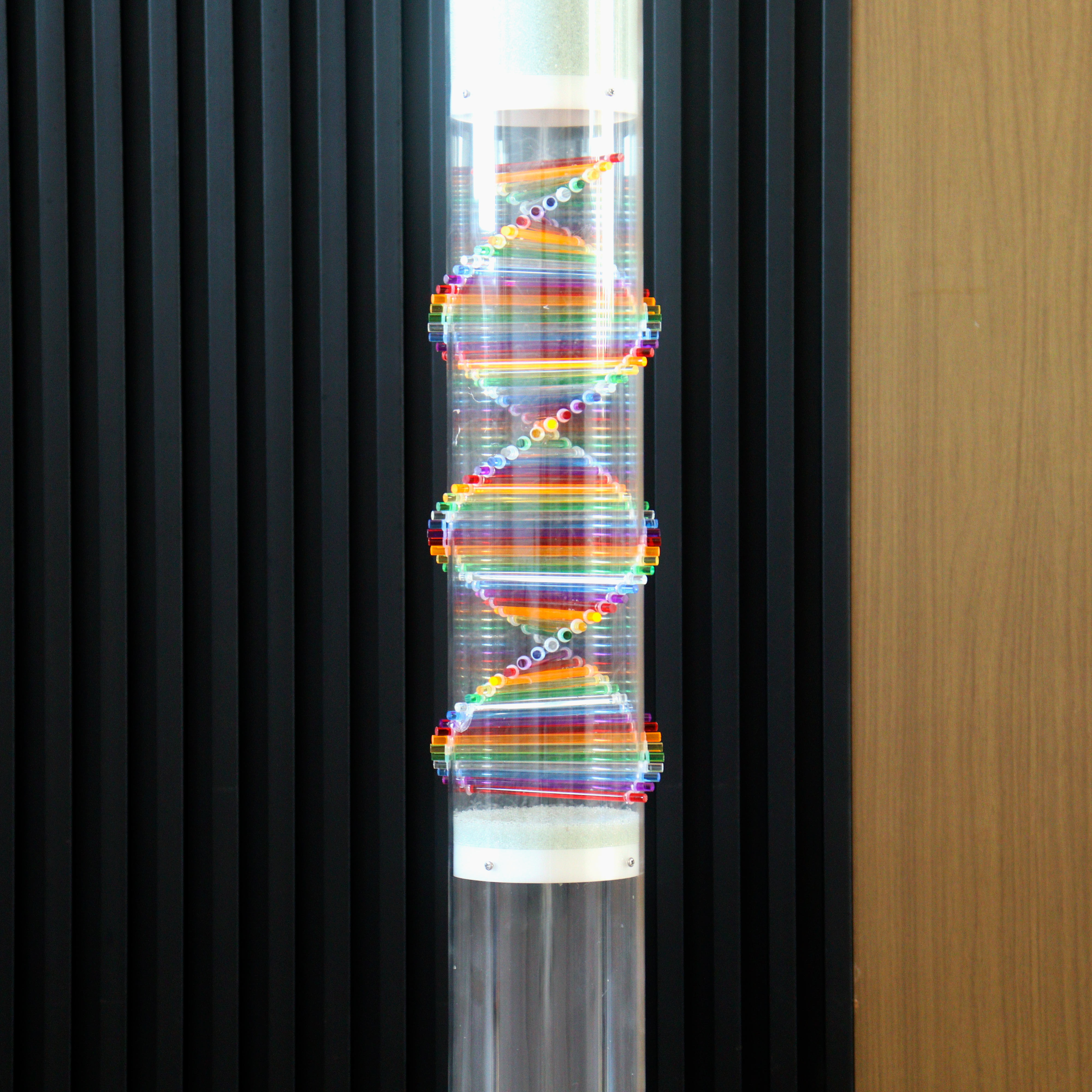 Premium Rainbow Rain Stick