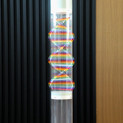 Premium Rainbow Rain Stick