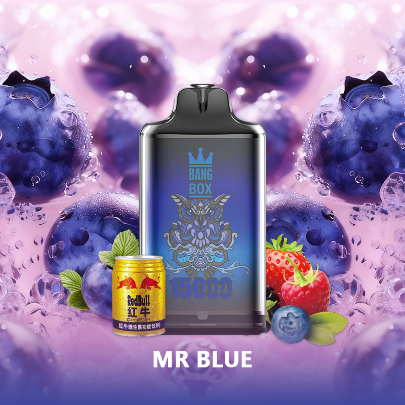 BANG BOX S1-15000 Puffs Disposable Vape-Mr Blue