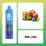 BANG BOX 20000 Puffs Dupla Ízes Eldobható Vape - Mr. Blue