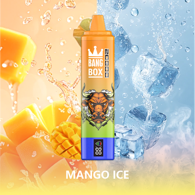 BANG BOX 20000 Puffs Double Flavor Disposable Vape - Mango Ice