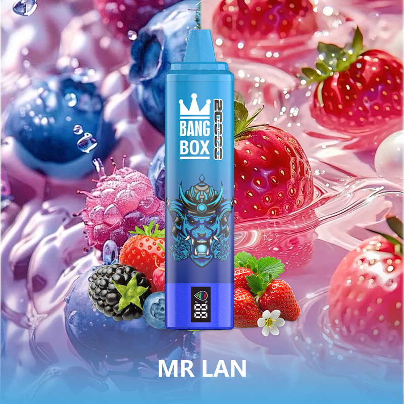 BANG BOX 20000 Puffs Double Flavor Disposable Vape - Mr. Blue