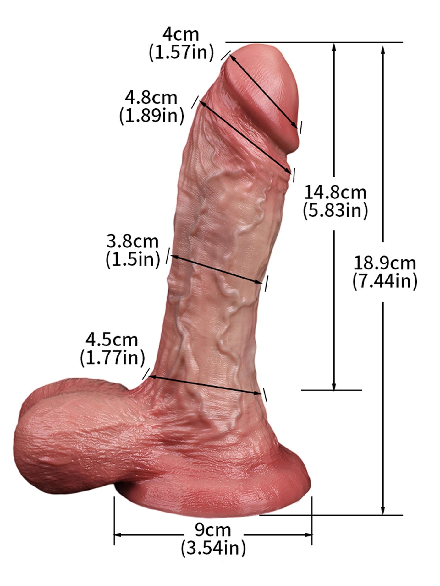 Lucas 7.44" x 1.5" Realistic Feeling Dual Density Dildo With Big Balls