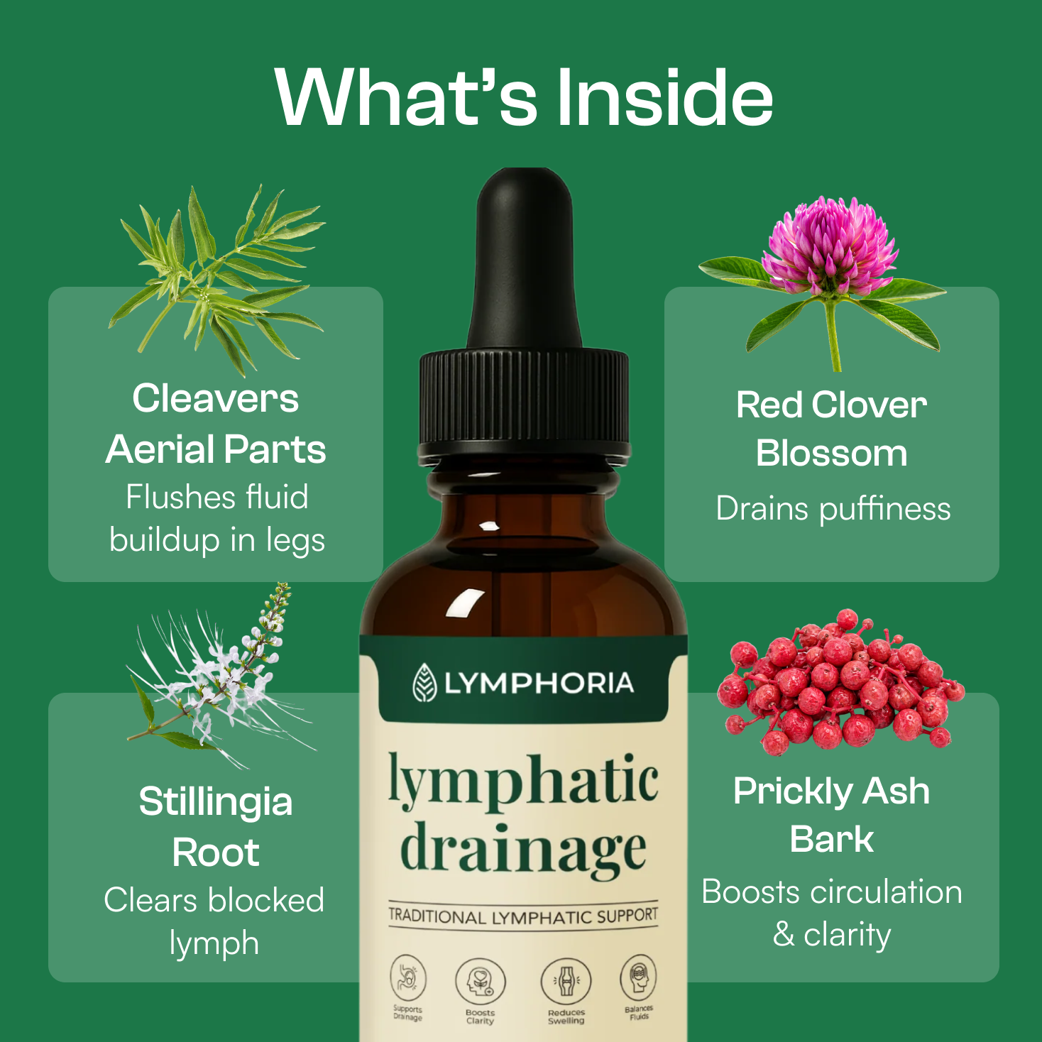   Lymphatic Drainage Drops The daily ritual your face, body, and energy have been waiting for.