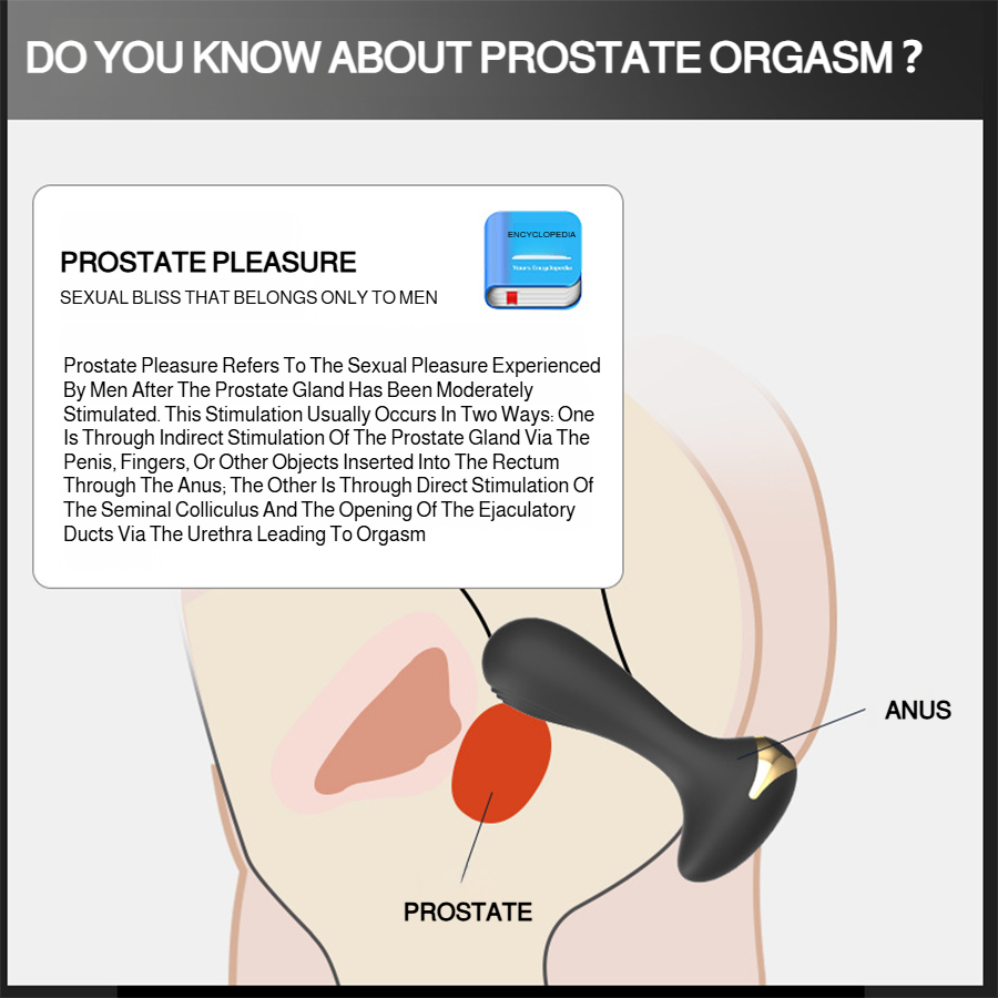 Remote Control Prostate Massager Set – Multi-Mode Vibration for Pelvic Muscle Relaxation & Personal Wellness
