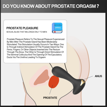 Remote Control Prostate Massager Set – Multi-Mode Vibration for Pelvic Muscle Relaxation & Personal Wellness