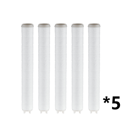 Showerhead filter cartridge