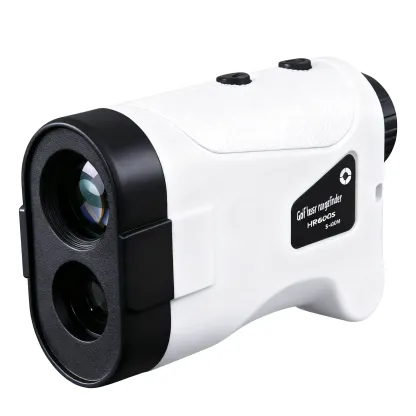 Customer makes a supplementary payment after chargeback