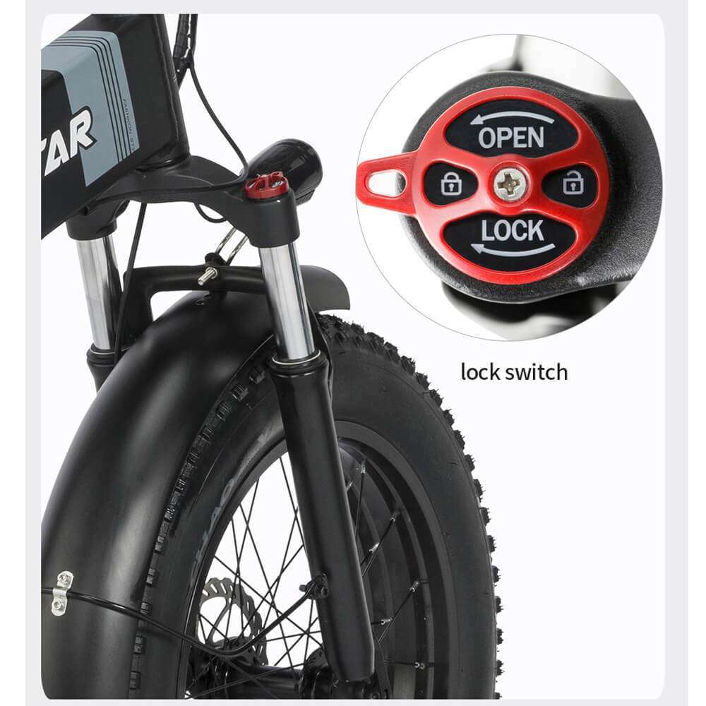 Ridstar H20 Fat Tire All Terrain Electric Bike With Aluminum Alloy Front Fork