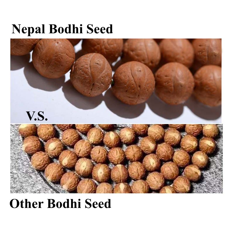 108 Mala Beads Nepal Bodhi Seed Luck Wealth Tassel Bracelet