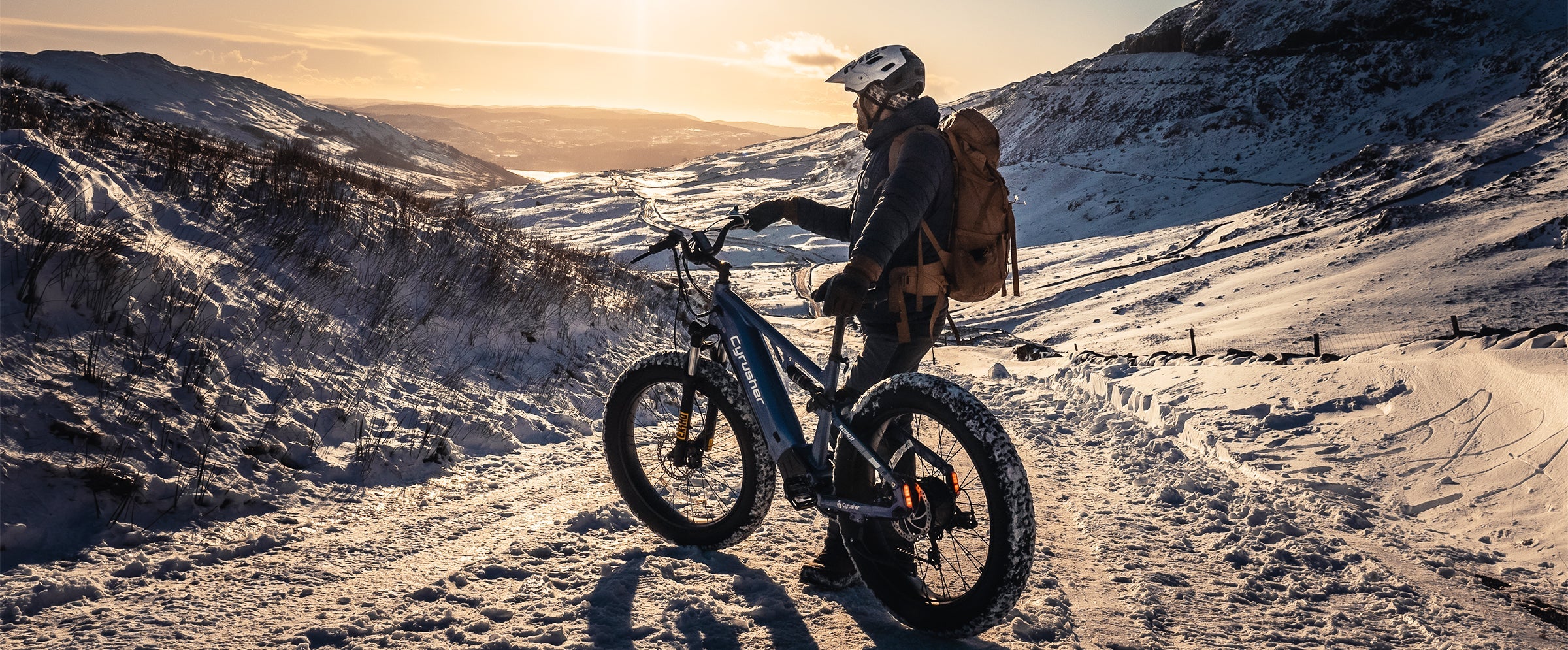 Cyrusher Rover Mountain electric bike