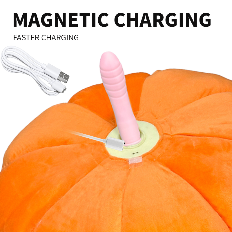 Magnetic Charging
