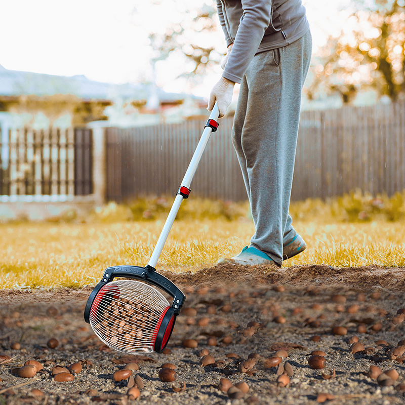 Acorn Picker