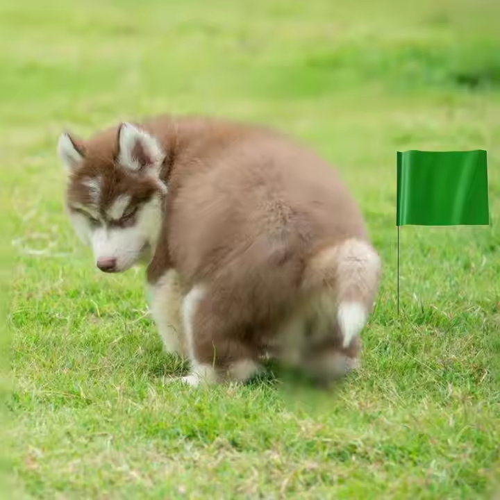 PVC MARKING FLAG - 4"x 5"x 15"/ 10 x 13 x 38 CM