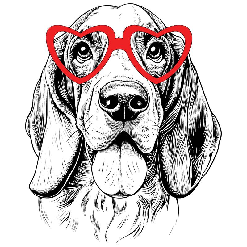 Free product size exchange (only for customers who have placed an order)