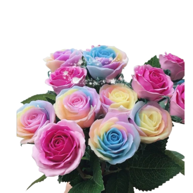 Celoročně kvetoucí velká semena sedmibarevné růže