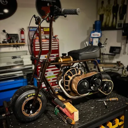 Hustler mini bike - Mad Man Mechanics