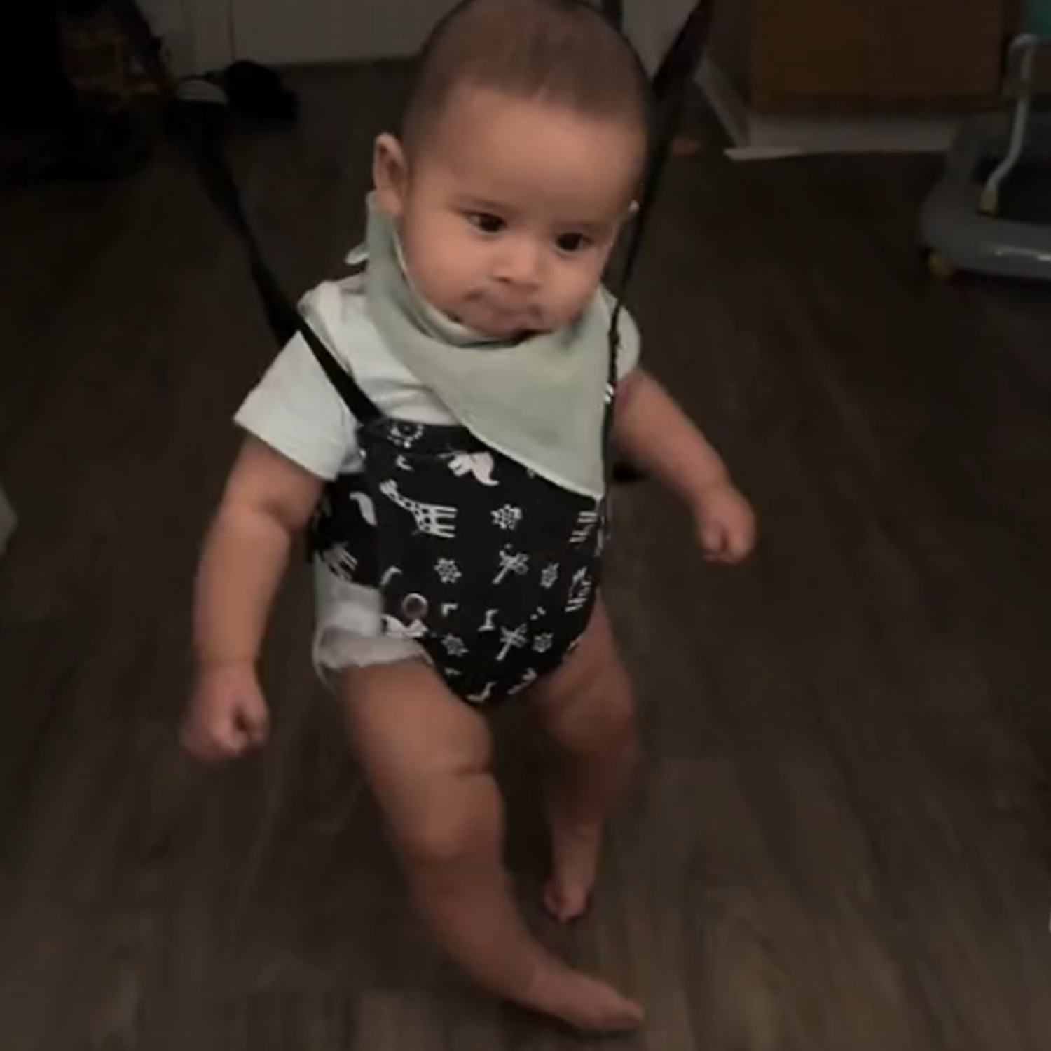 Baby bouncer with door frame clip