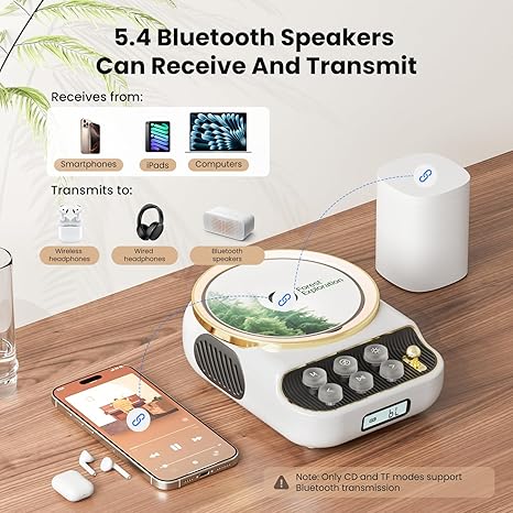 🎶 Portable Bluetooth Music Player & Speaker