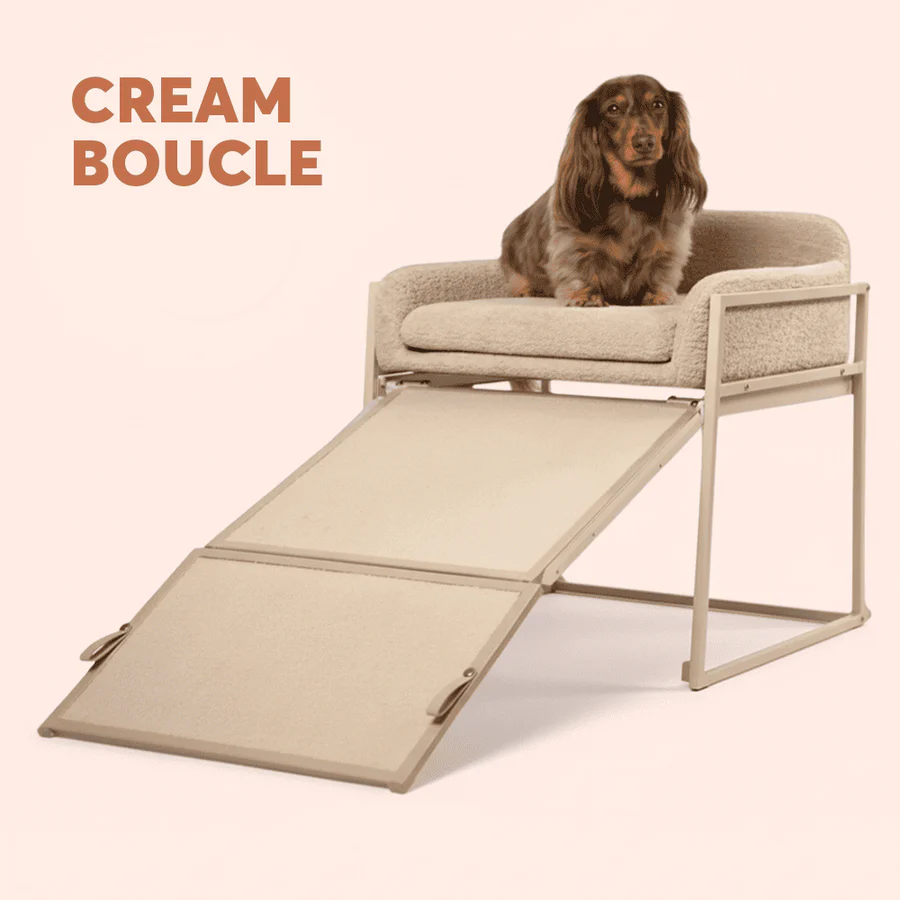 Pet Chair with Built-in Ramp | Cozy Table-Side Seat for Small & Senior Pets