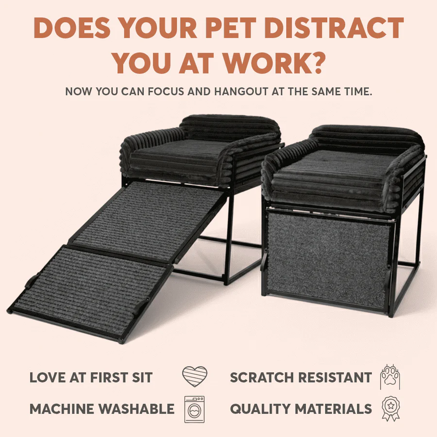 Pet Chair with Built-in Ramp | Cozy Table-Side Seat for Small & Senior Pets
