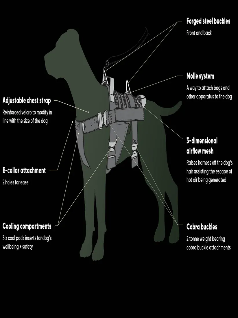 Tactical cooling dog harness