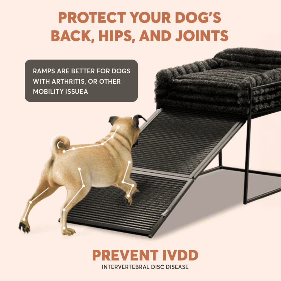Pet Chair with Built-in Ramp | Cozy Table-Side Seat for Small & Senior Pets