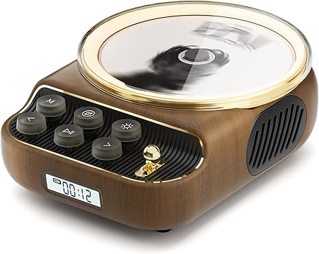 🎶 Portable Bluetooth Music Player & Speaker