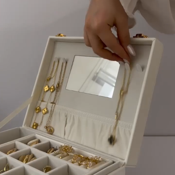 Multipurpose Luxury Self-Textured Leather Jewelry Case – Large Size with Mirror