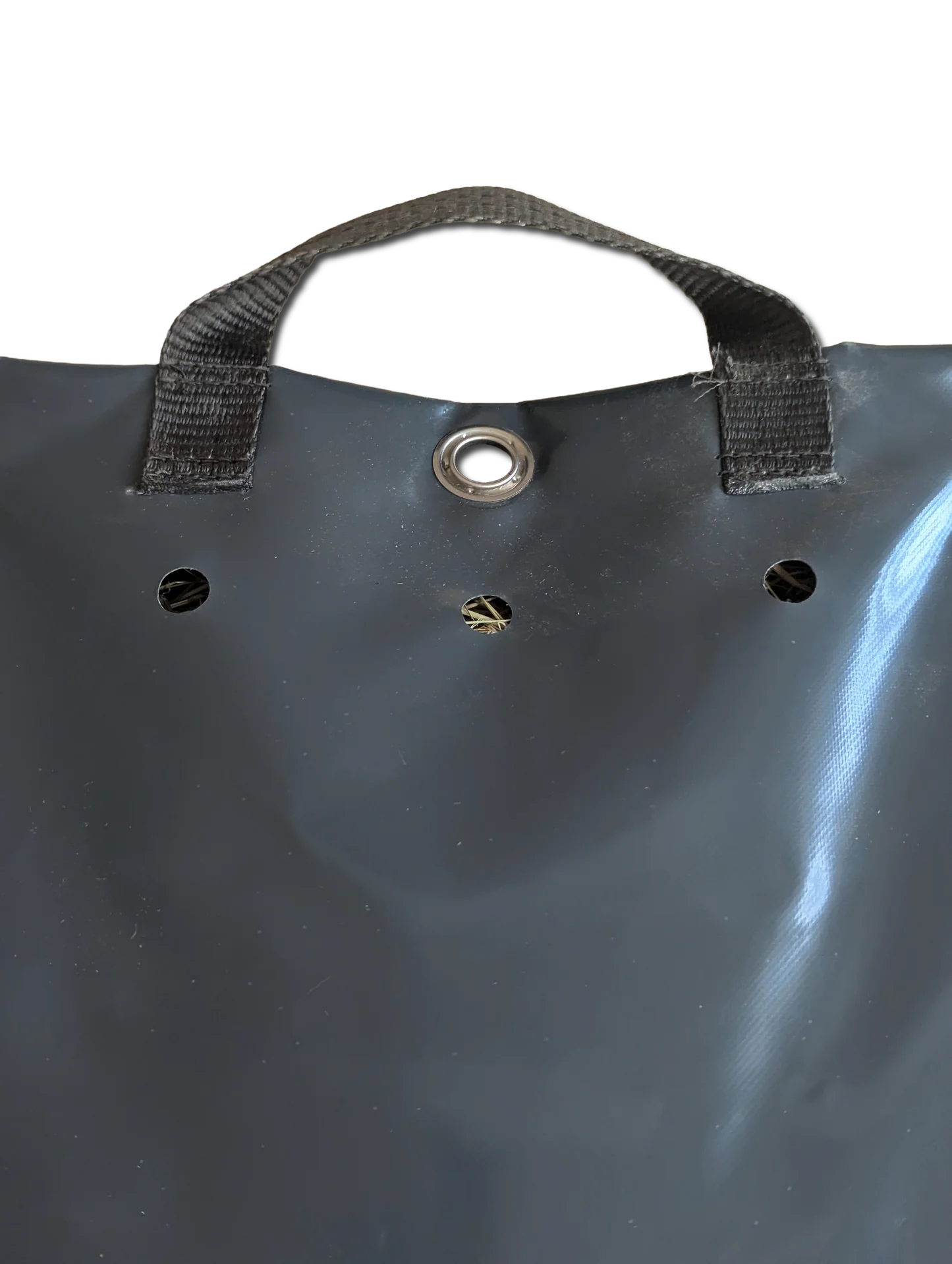 Automatic feed dispenser for horses