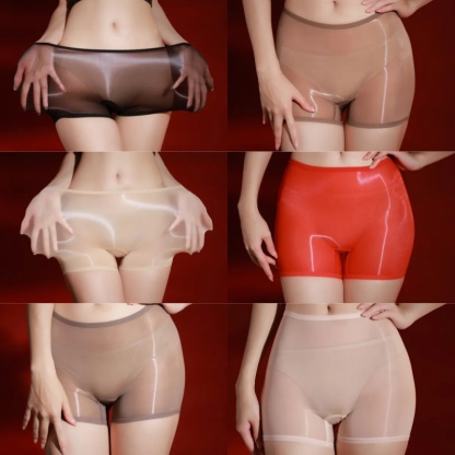 Tempting Sheer Nylon Panty