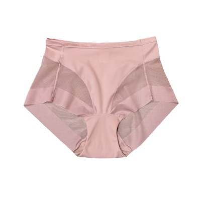 Mid-Waist Sheer Mesh Shaping Panty