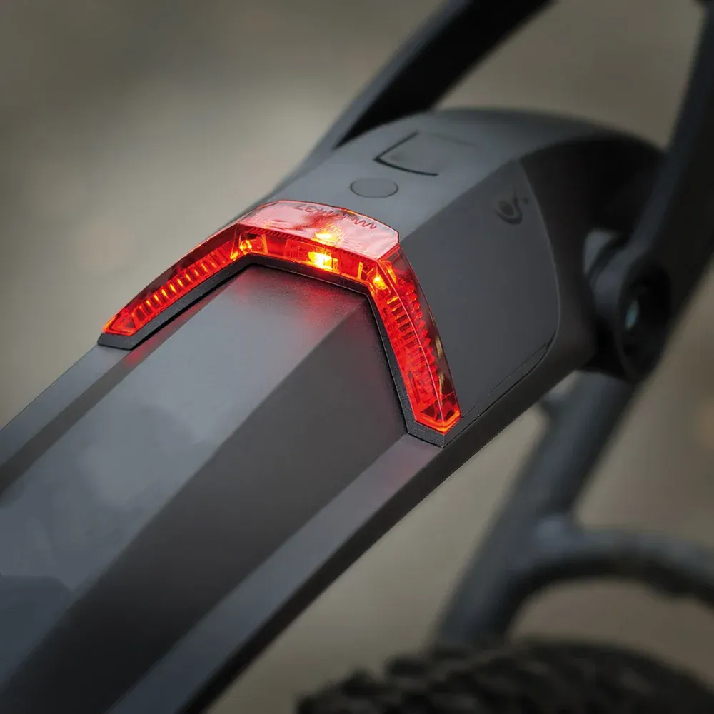 Adjustable Quick-Release Bike Fender—2-in-1 MTB Rear Mudguard & LED Light