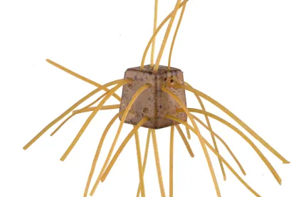 Finesse Dice Soft Lure 14mm(3pcs/Pack)