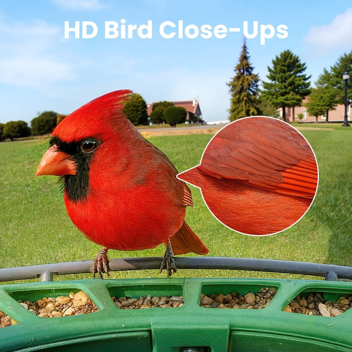 🐦Triple-Lens AI Smart Bird Feeder with Solar Panel & Dual Cameras