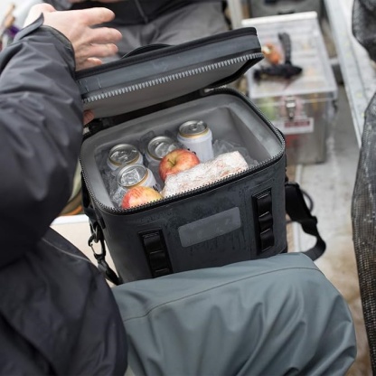 Portable cooler