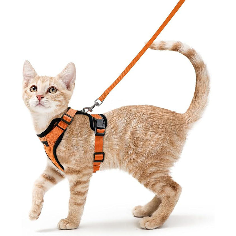 Cat Harness Vest – Escape-Proof, Soft Adjustable, Breathable with Reflective Stripe