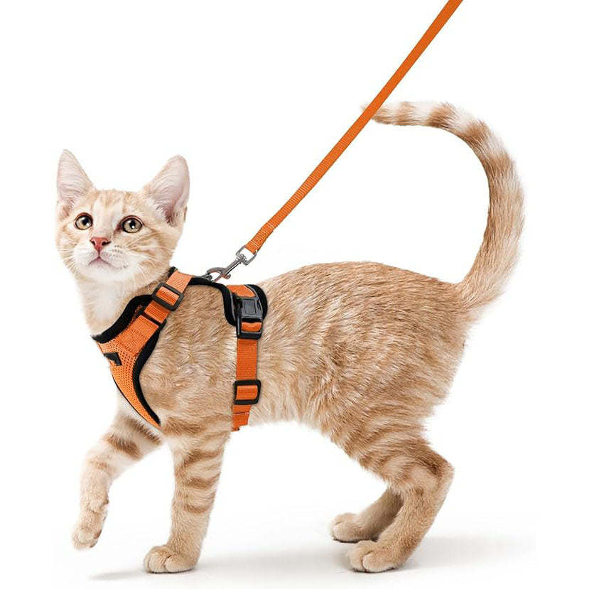 Cat Harness Vest – Escape-Proof, Soft Adjustable, Breathable with Reflective Stripe