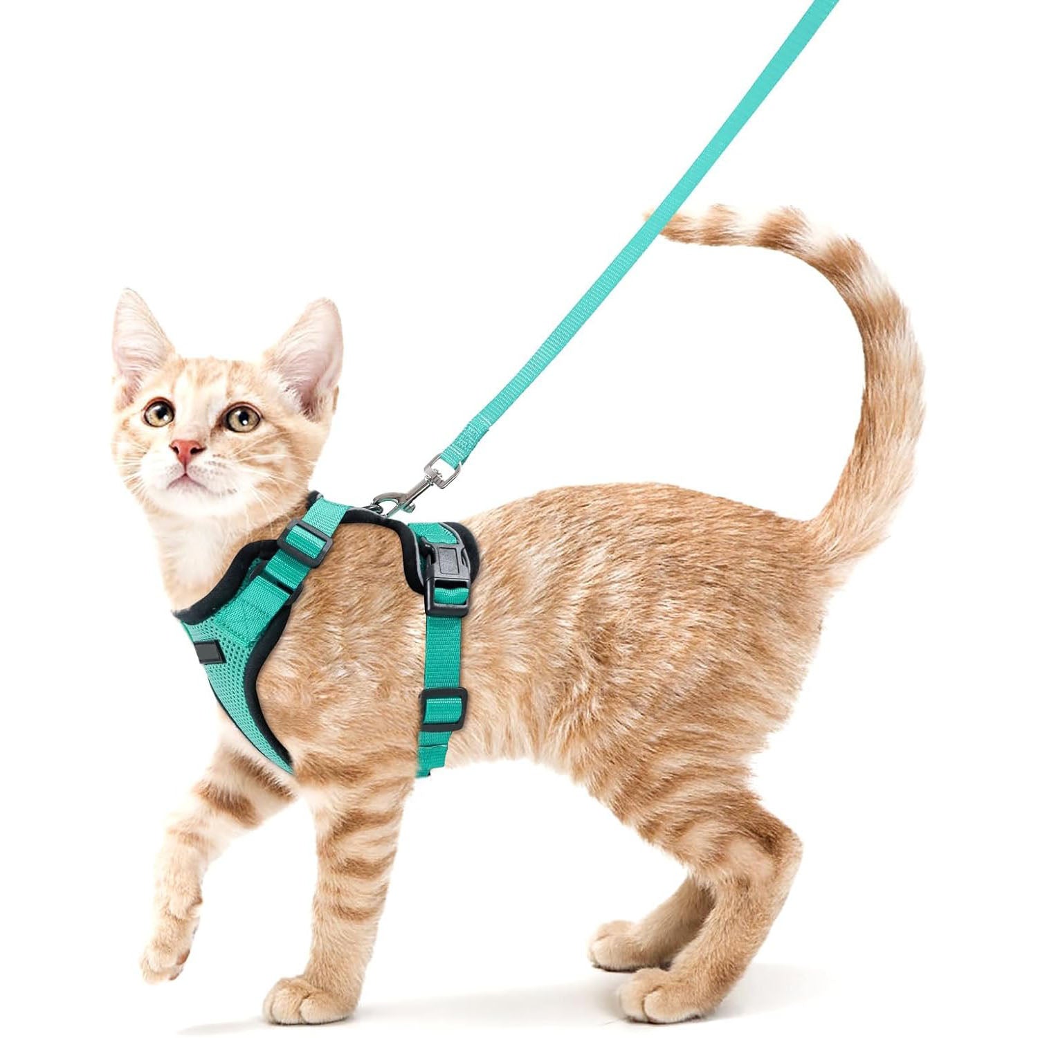 Cat Harness Vest – Escape-Proof, Soft Adjustable, Breathable with Reflective Stripe