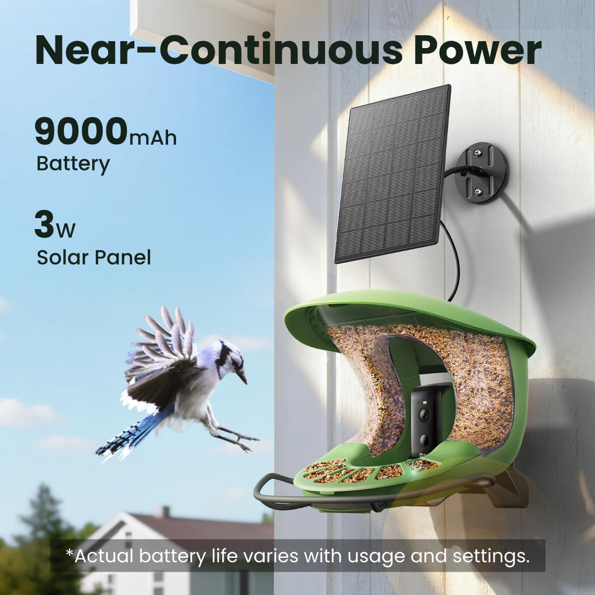 🐦Triple-Lens AI Smart Bird Feeder with Solar Panel & Dual Cameras