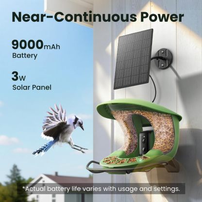 🐦Triple-Lens AI Smart Bird Feeder with Solar Panel & Dual Cameras