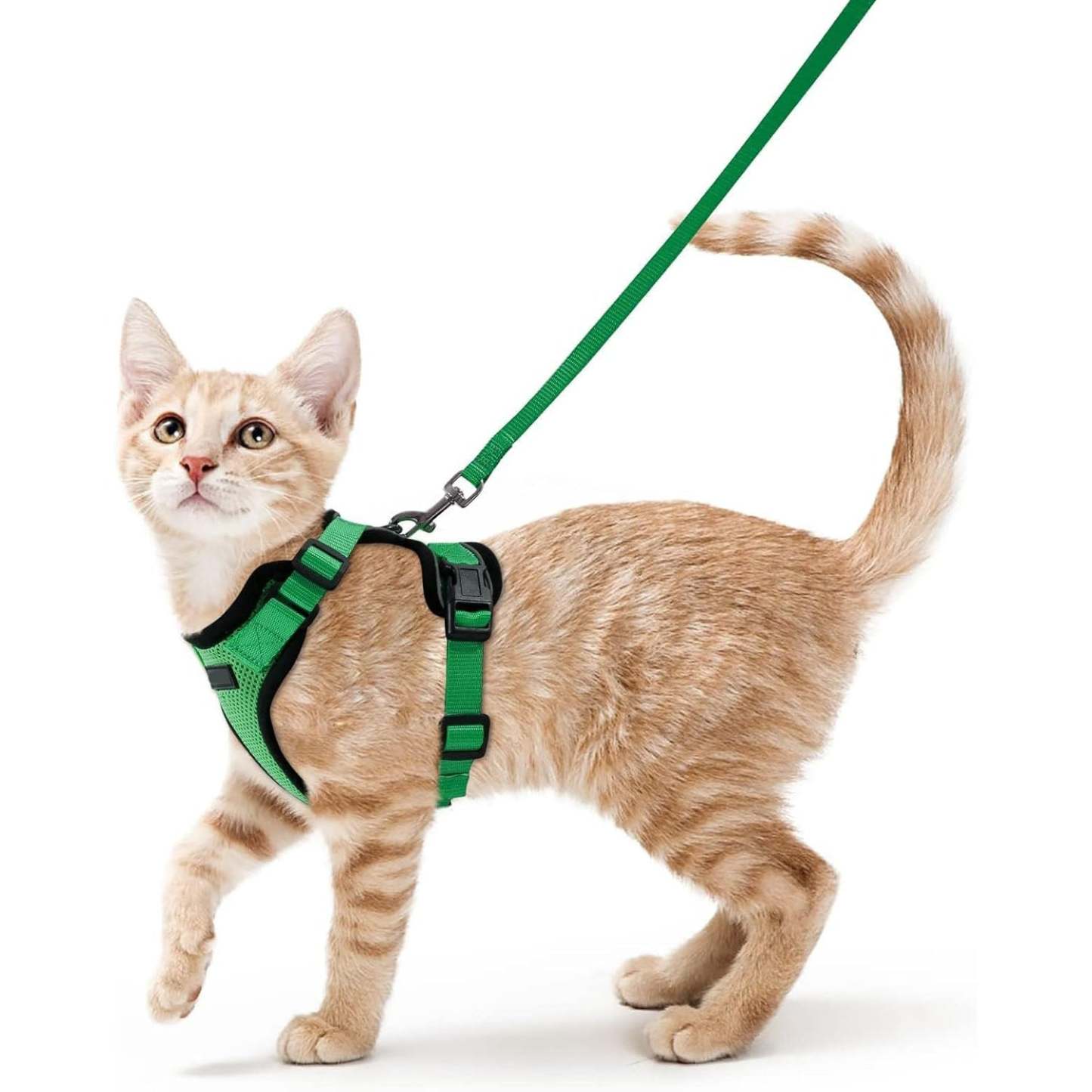 Cat Harness Vest – Escape-Proof, Soft Adjustable, Breathable with Reflective Stripe