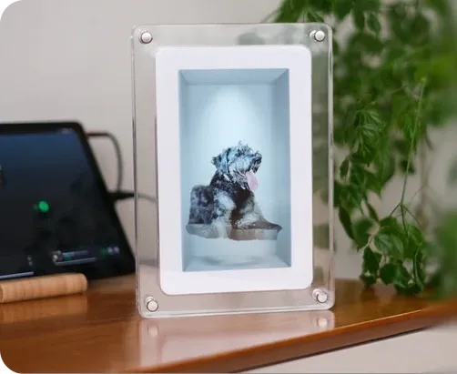 Holographic Photo & Video Frame Bring Your Favorite Memories to Life