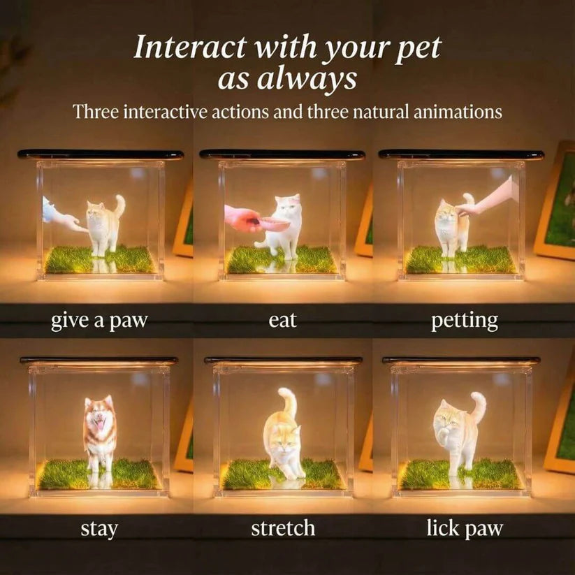 Personalized Holographic Memory Projection – 3D Pet Image, Interactive Keepsake