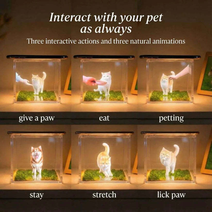 Personalized Holographic Memory Projection – 3D Pet Image, Interactive Keepsake