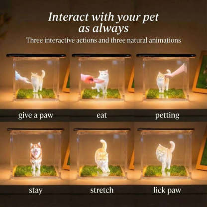 Personalized Holographic Memory Projection – 3D Pet Image, Interactive Keepsake