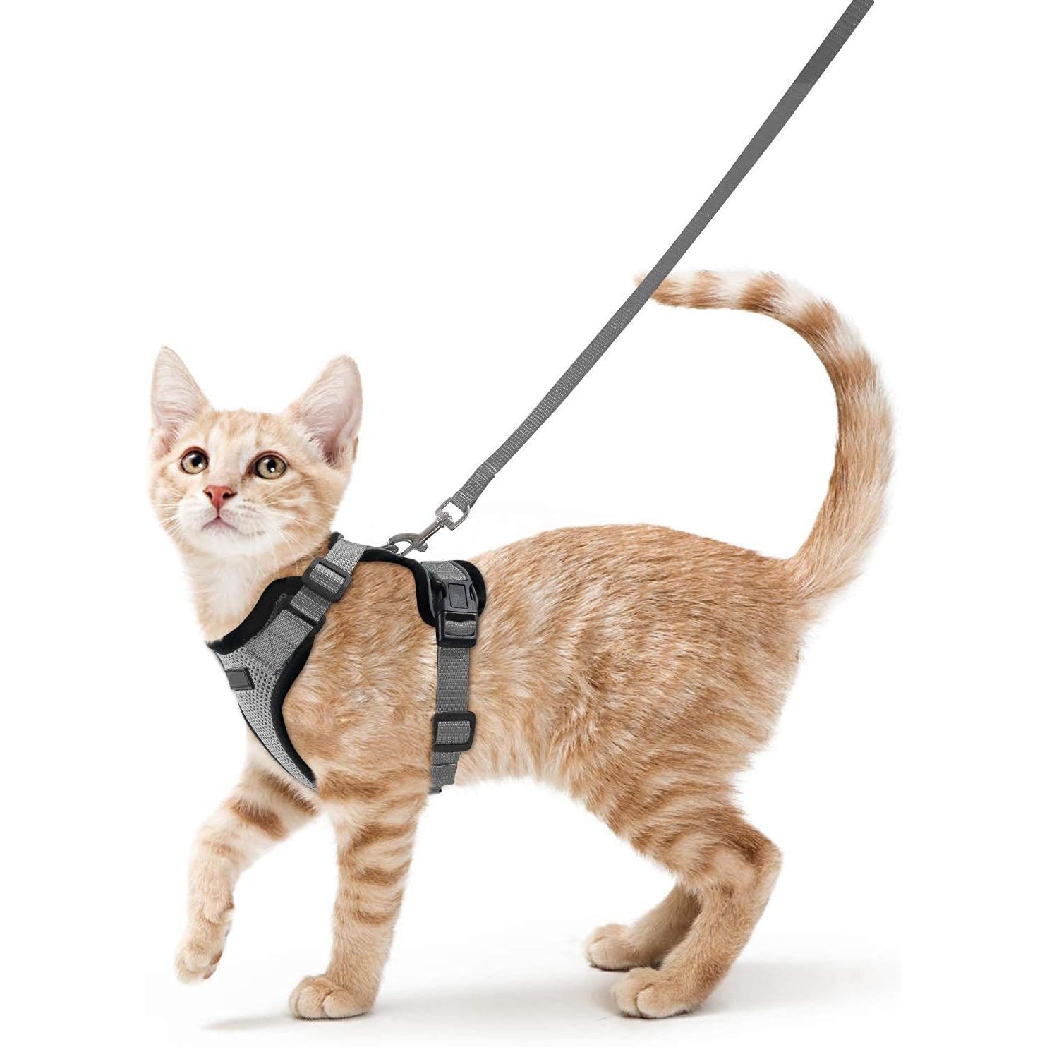 Cat Harness Vest – Escape-Proof, Soft Adjustable, Breathable with Reflective Stripe