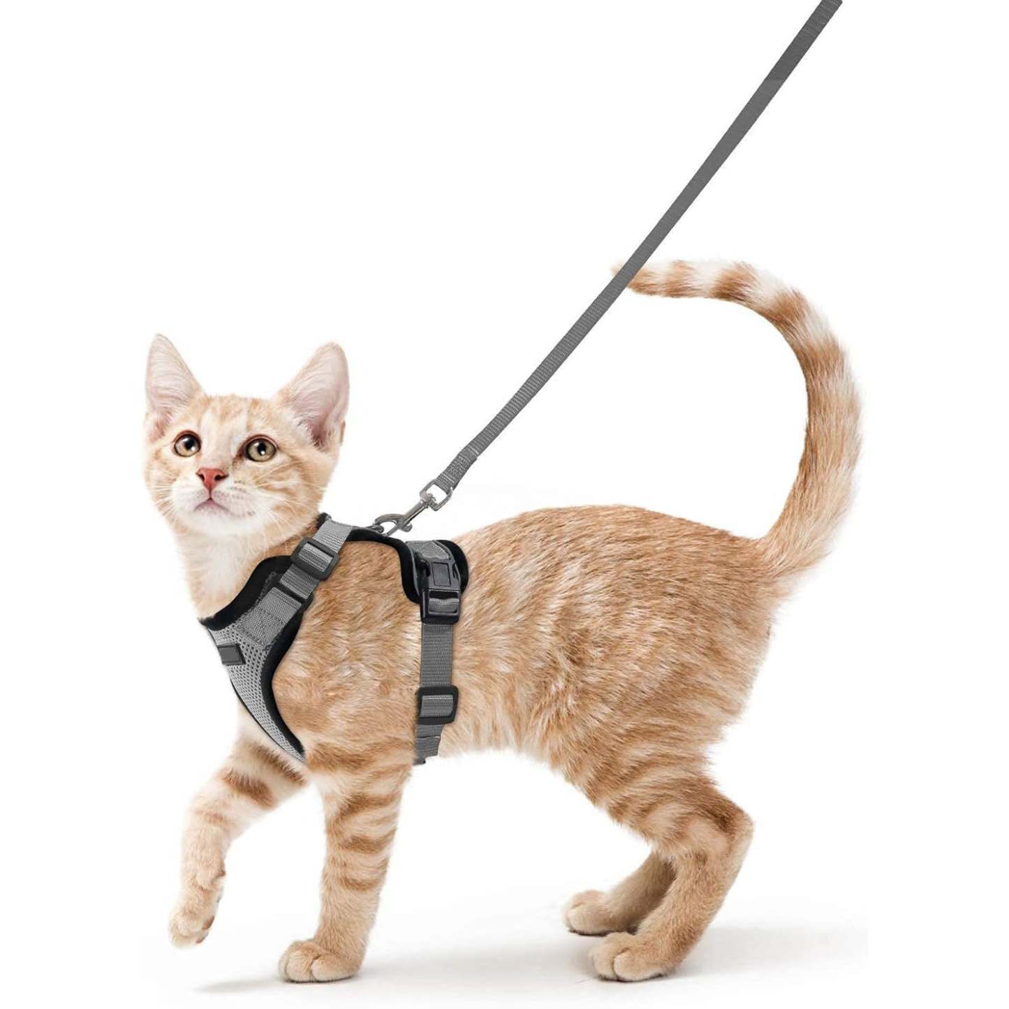 Cat Harness Vest – Escape-Proof, Soft Adjustable, Breathable with Reflective Stripe