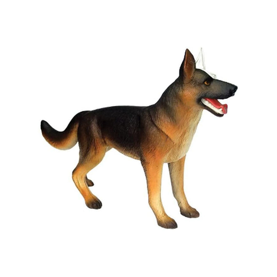4D Vision Dog Anatomy Model – 29 Removable Parts